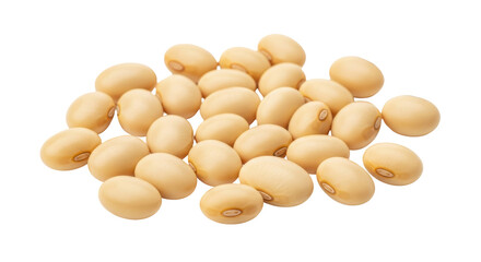 Isolated Pile of Soybeans