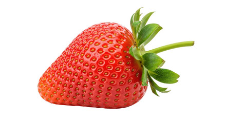 Isolated Single Fresh Strawberry