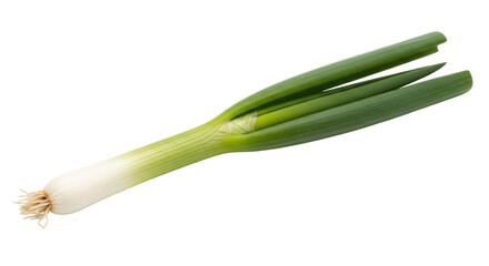 Isolated Spring Onion