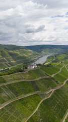 green vineyards in the German Moselle river region. Wine production Riesling, Marienburg, church, Zell, Germany.