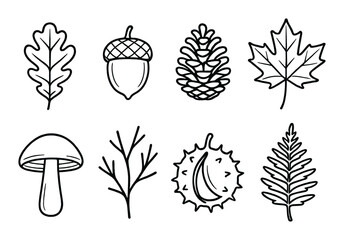 Autumn nature icons - leaves, acorn, pinecone, mushroom, branch, chestnut outline set