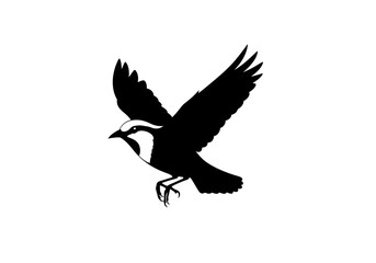 Fototapeta premium vector silhouette of a bird