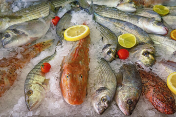 Mediterranean seafood. Different fresh raw fishes on ice