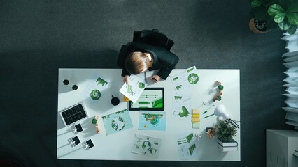 Top view of smart manager making decision about green business investment. Aerial view of skilled...