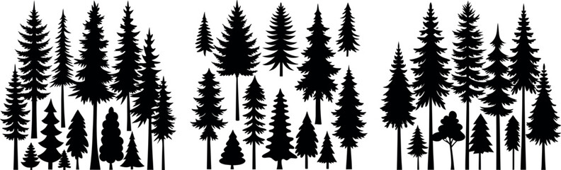 Elegant Pine Tree Silhouette in Black and White &ndash; Symmetrical Layered Branch Design