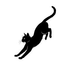 Fototapeta premium black silhouette of a jumping Cat