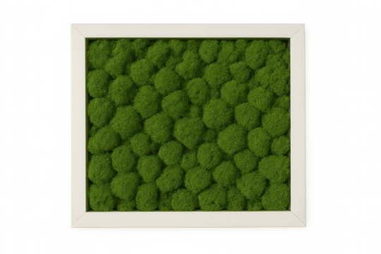 Preserved moss wall decoration in white frame isolated on transparent background, ideal for interior design projects