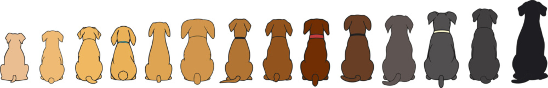 Minimalist colorful set of dogs, sitting back side to viewer. Clean outline simple vector flat style