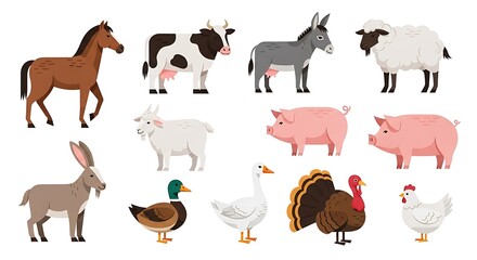 Colorful Farm Animals Illustration: Horse, Cow, Donkey, Sheep, Pig, Goat, Duck, Goose, Turkey, Chicken