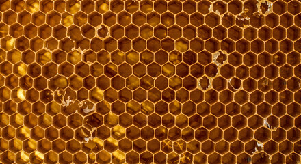 Honeybee's honeycomb structure: A close-up, detailed shot showcasing the intricate hexagonal pattern of a honeybee's honeycomb, brimming with rich, golden honey.