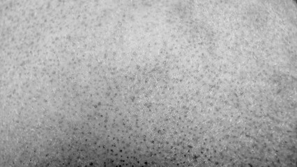 closeup monochrome macro of kiwi fruit skin with fine hair texture and dark seed dots for organic food or abstract background use