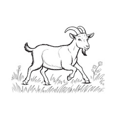 Engraving Vintage Goat Illustration in Meadow – Farm Animal Line Art with Grass and Flowers, Black and White Retro Style