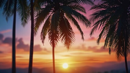 Fototapeta premium Vibrant Tropical Palm Leaves with Sunset Sky and Abstract Bokeh V4