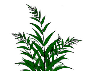 Fototapeta premium grass line art silhouette vector illustration 