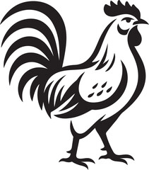 Rooster standing profile on white background chicken