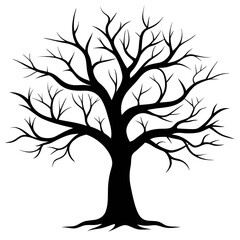 Winter oak tree silhouette with bare twisted branches, no leaves, isolated on white background.