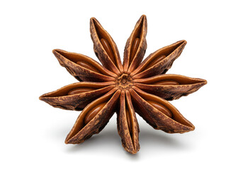 Close up of a single brown star anise spice pod isolated on a white background with visible shadow