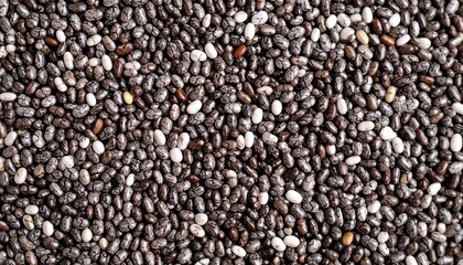 Close-up view of various colored chia seeds.