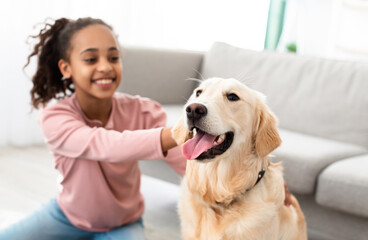 Fun With Pet. Happy Young African American Girl Playing With Her Labrador Puppy, Scratching Dog Sitting On Floor Carpet In Living Room At Home Indoors Inside, Selective Focus On Happy Golden Retriever
