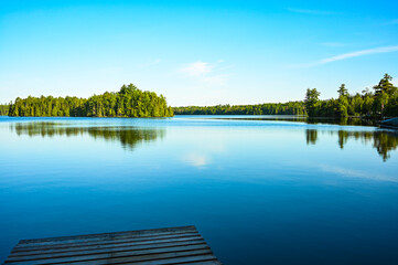 lake and forest