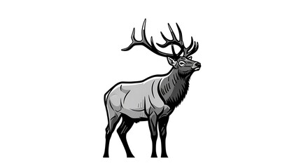 Obraz premium Majestic Elk Illustration with Detailed Antlers and Shaded Gray Tones on White Background