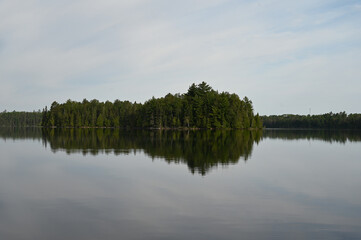 reflection of trees in water
