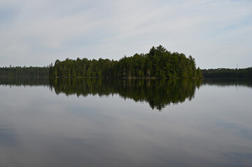 Fototapeta premium reflection of trees in water