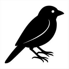 The Best Cuckoo Design Icon.