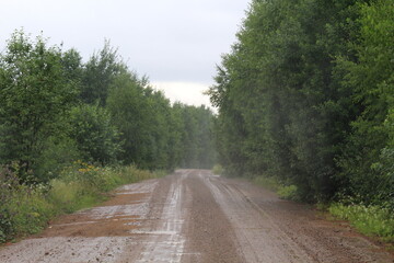 Dirt road in the forests of north-eastern Europe during rain