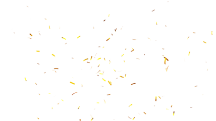 Elegant gold confetti background. Golden glitter dust particles confetti on transparent background. PNG Gold confetti effect, transparent background. 