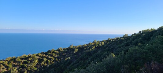 Crystal clear sea with mountain backdrop and green landscape
