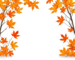 Autumnal maple leaves arranged in a frame, vibrant orange and reds against a white background