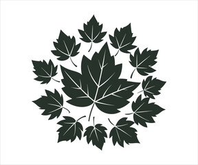 Elegant maple leaf circle design for backgrounds and vector illustrations featuring a stylized plant arrangement on a clean white canvas