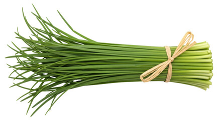 Isolated Bunch of Chives