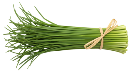 Isolated Bunch of Chives