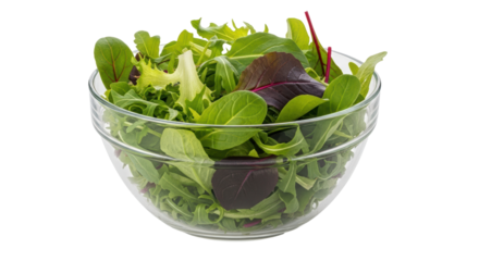 Isolated Fresh Salad in a Glass Bowl