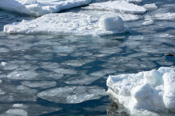Sea ice drifts between the drift ice © 多田 智