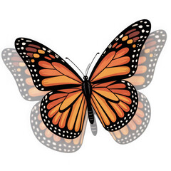 Fototapeta premium flying butterfly isolated on transparent and white background.