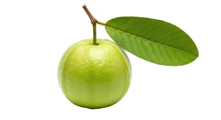 Isolated Guava