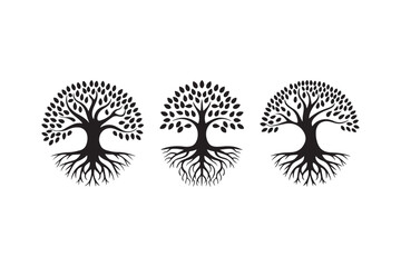 Three stylized black trees with intricate roots and leafy canopies