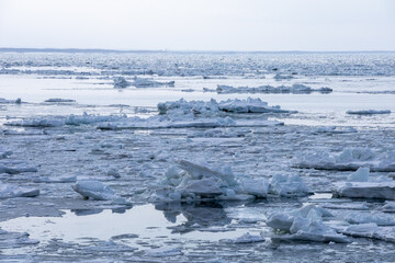 Lead-colored sea of drift ice © 多田 智