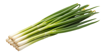 Isolated Green Onions