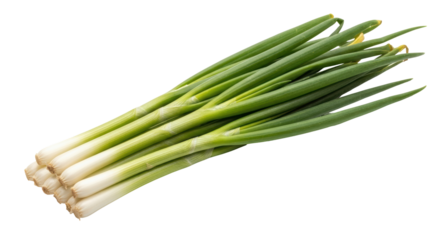 Isolated Green Onions