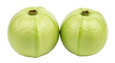 Isolated Green Guavas