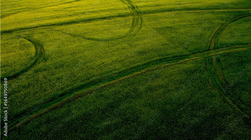 Poster aerial view of vibrant green field with tire tracks creating patterns across the landscape, showcasi
