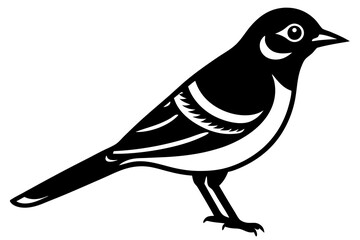 Bluejay Bird Line Art Vector Illustration