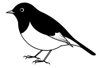 Robin Bird line Art Vector Illustration