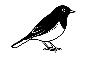 Robin Bird line Art Vector Illustration