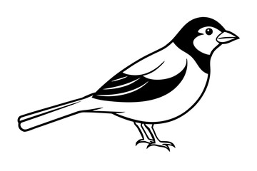 sparrow bird line art vector white background