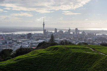 Fototapeta premium Panoramic View of Auckland Skyline with Green Hills